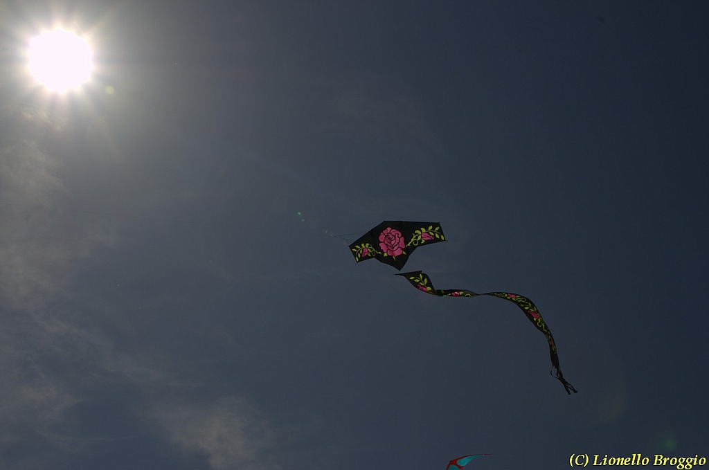32 FESTIVAL CERVIA 2012 - 197.jpg
